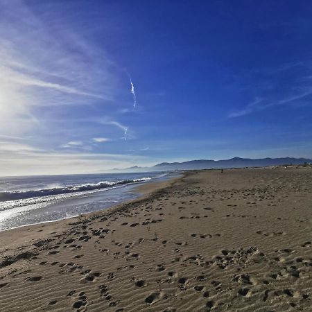 Appartement Climatise Vue Mer 208 Canet-en-Roussillon Zewnętrze zdjęcie