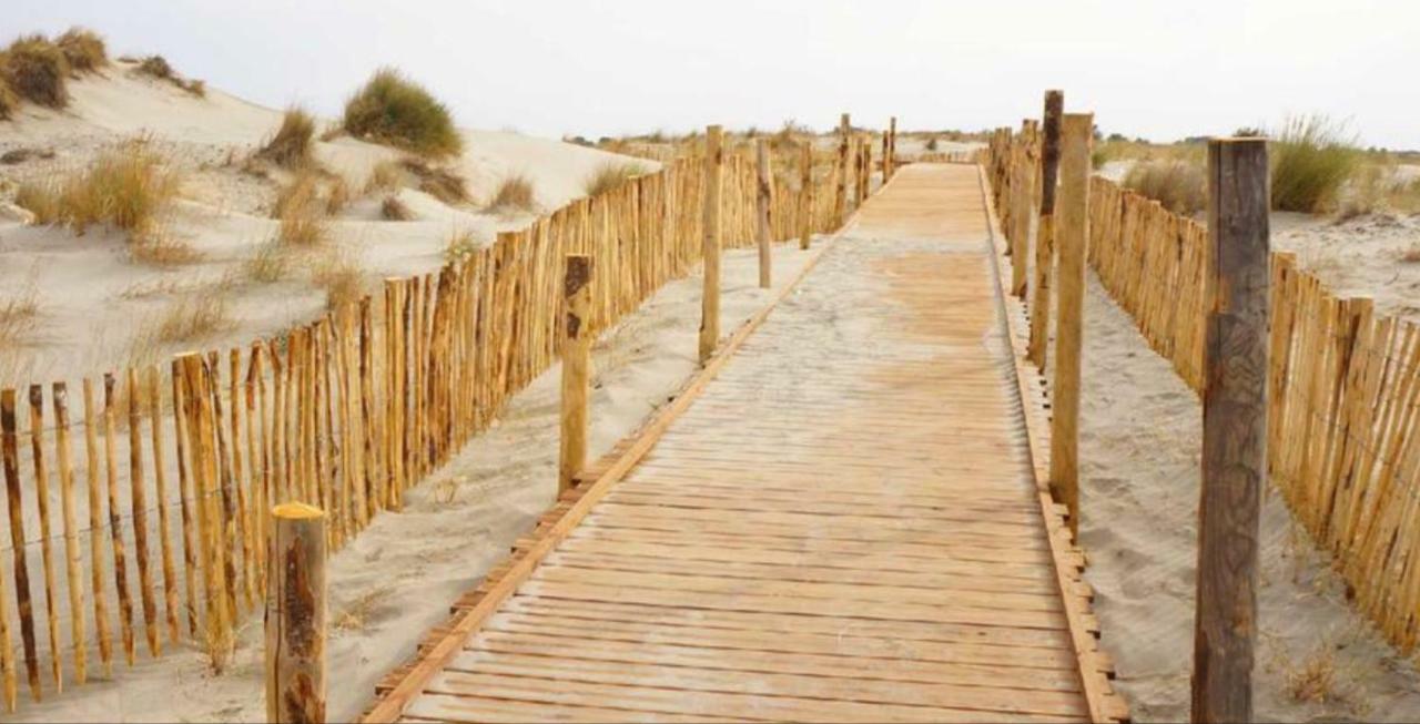 Appartement Climatise Vue Mer 208 Canet-en-Roussillon Zewnętrze zdjęcie